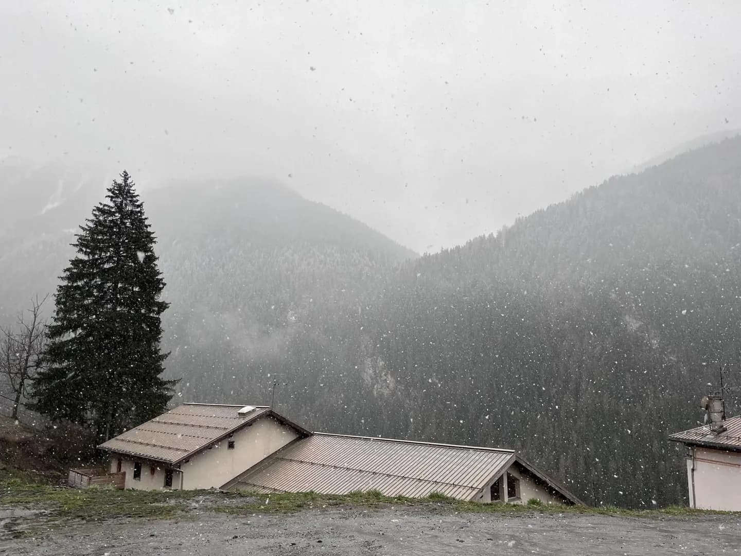 Alexouillle63 – MYM creator profile picture