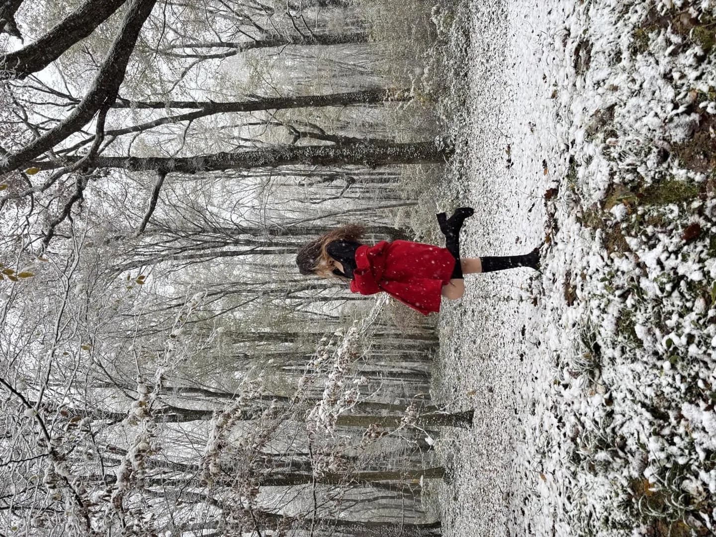 Mndf – MYM creator