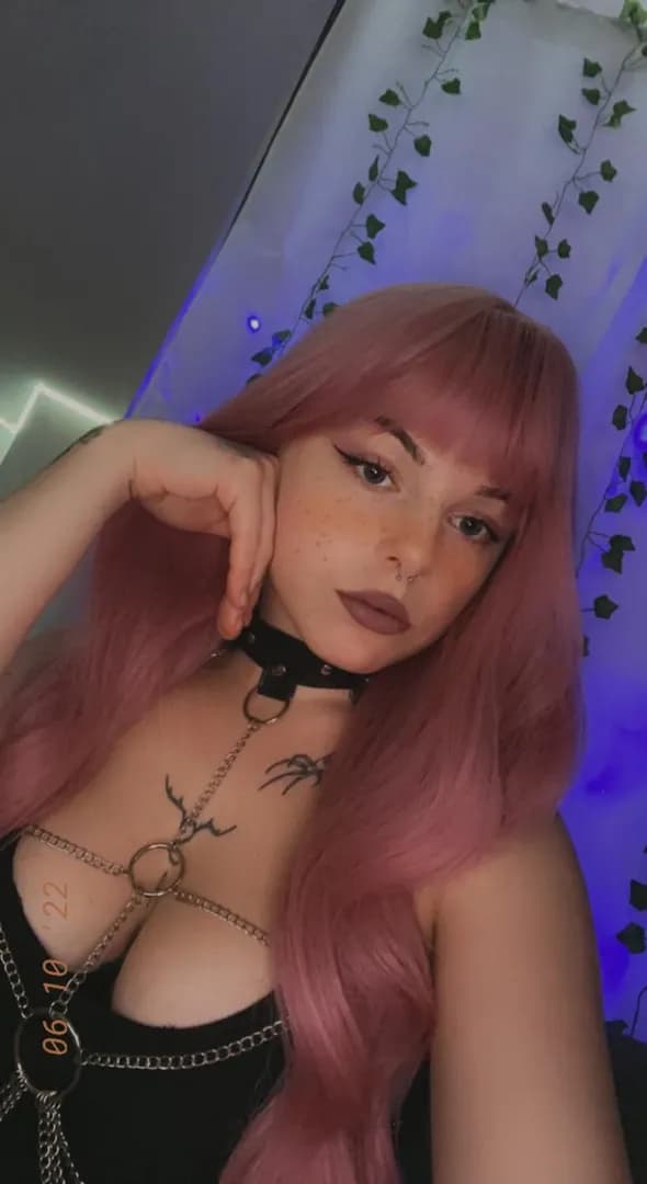 Nikkiswolf – MYM creator profile picture